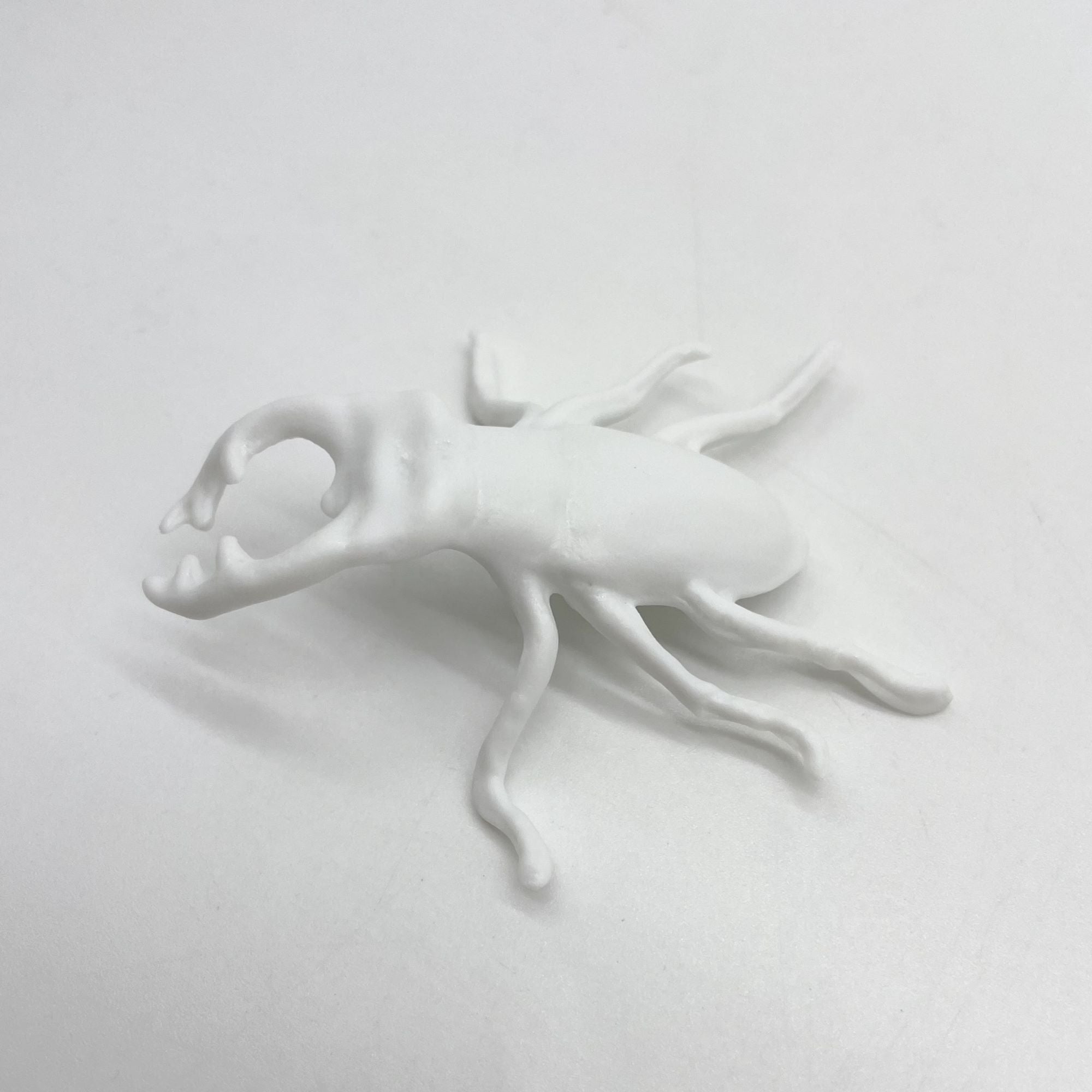 Lucane - Porcelaine de Limoges