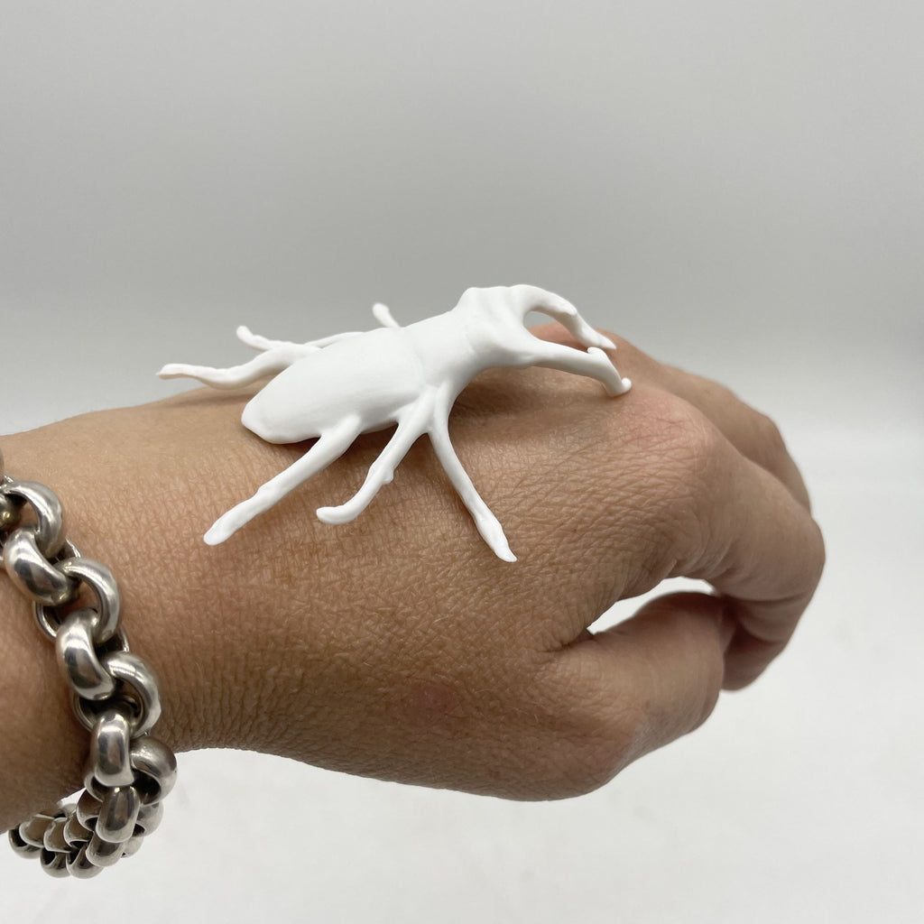 Lucane - Porcelaine de Limoges